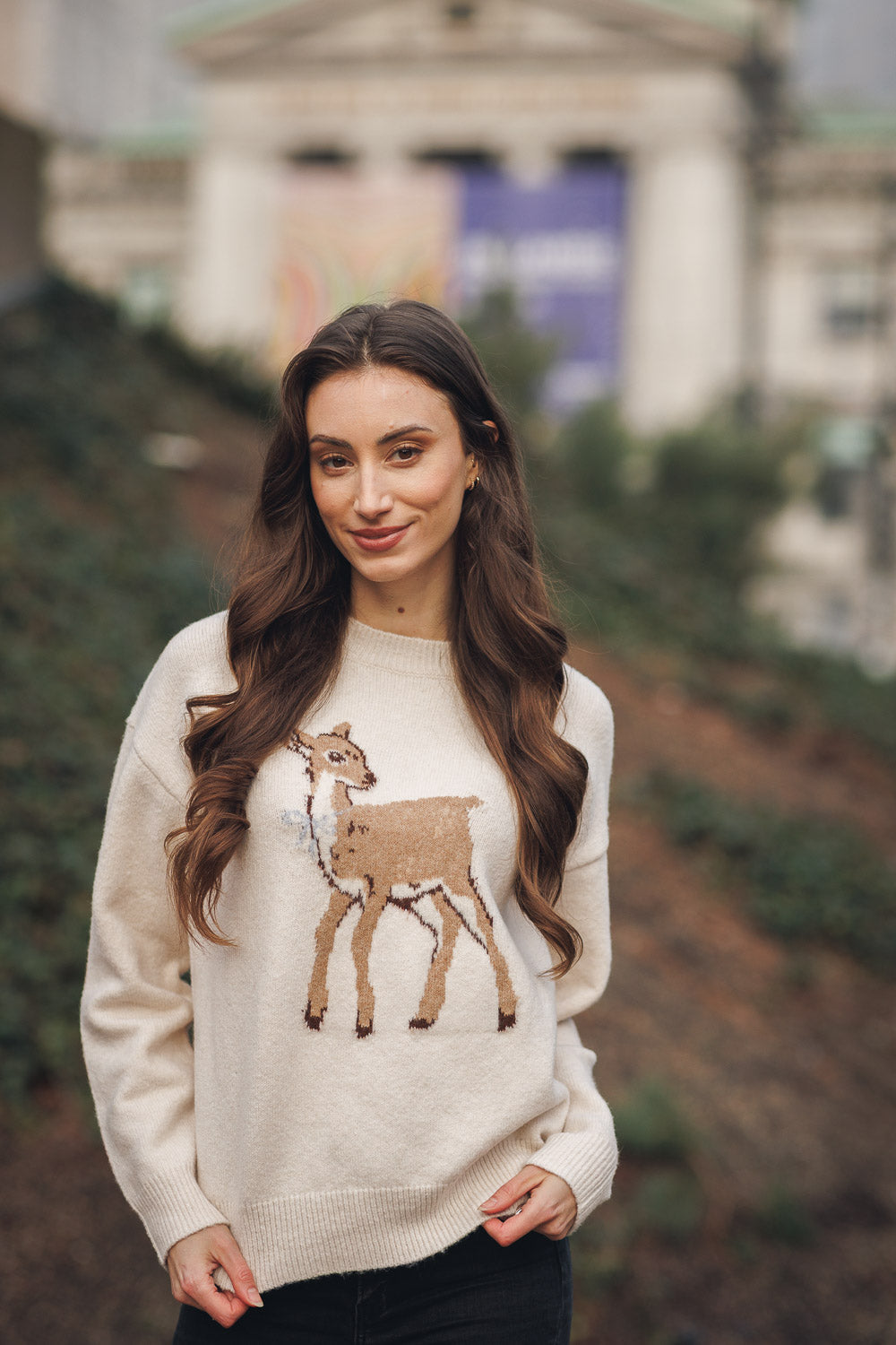 Fawn Knit Sweater