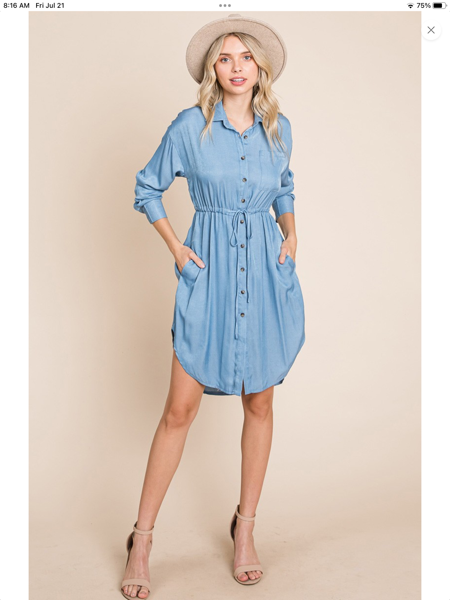 Rolypoly Denim Dress